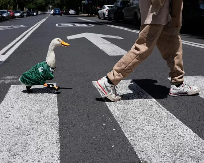 Merlin the Duck Becomes Social Media Star During Mexico's World Cup Opener